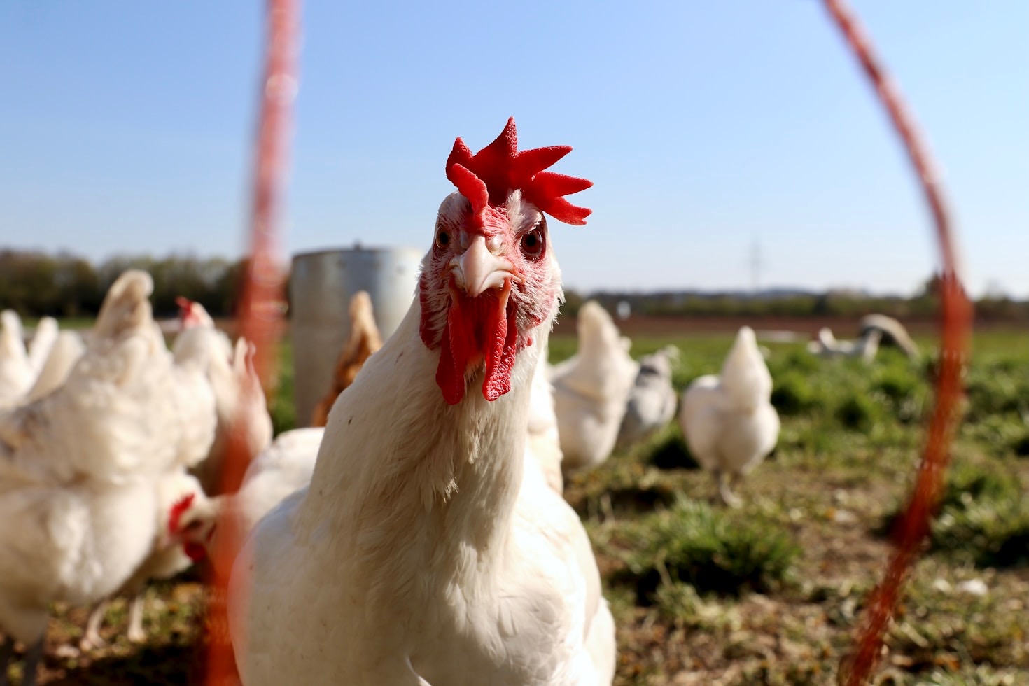 Supporting Local Agriculture Through Better Processing